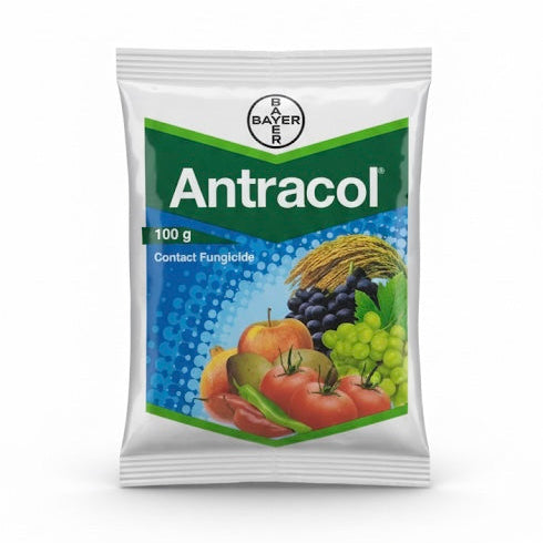 Antracol