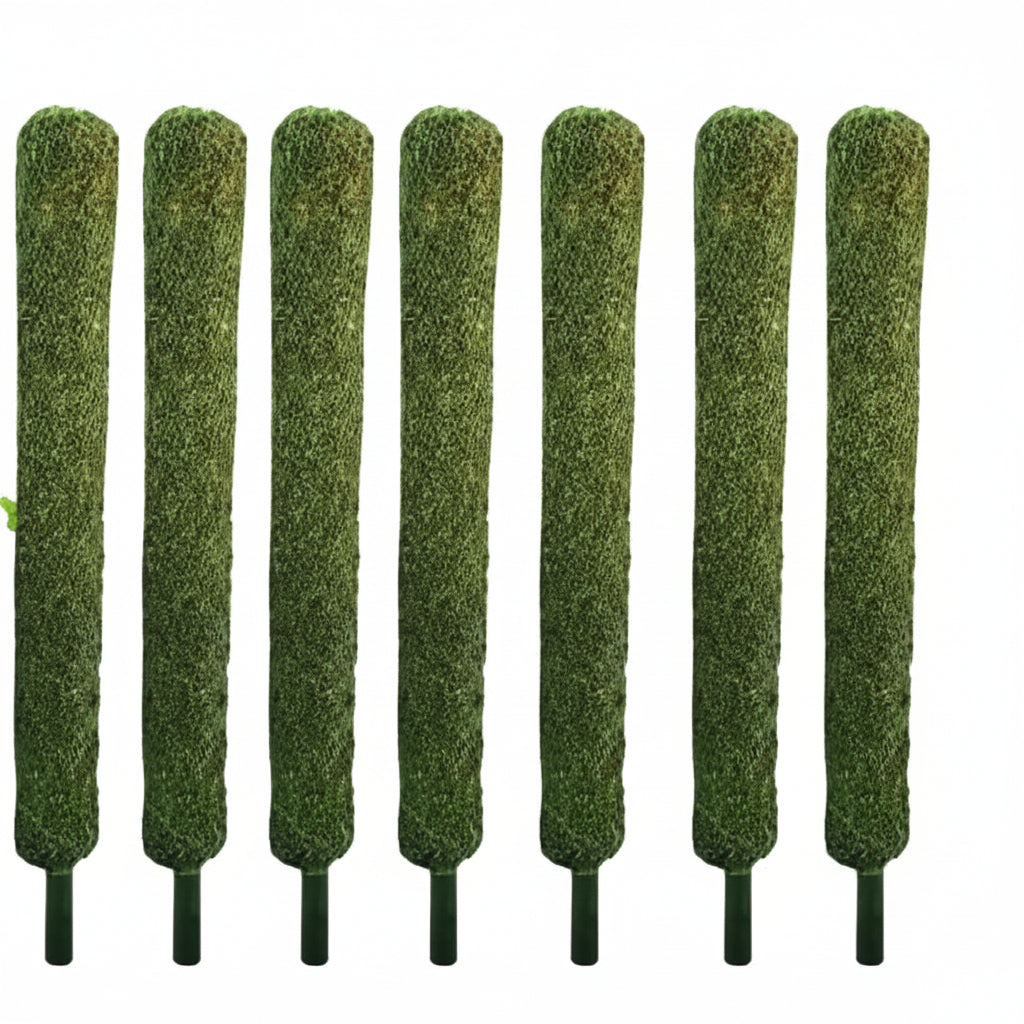 Moss stick 4