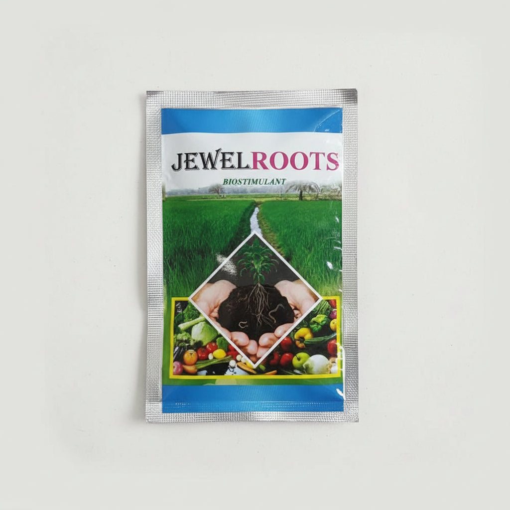 Jewel Roots