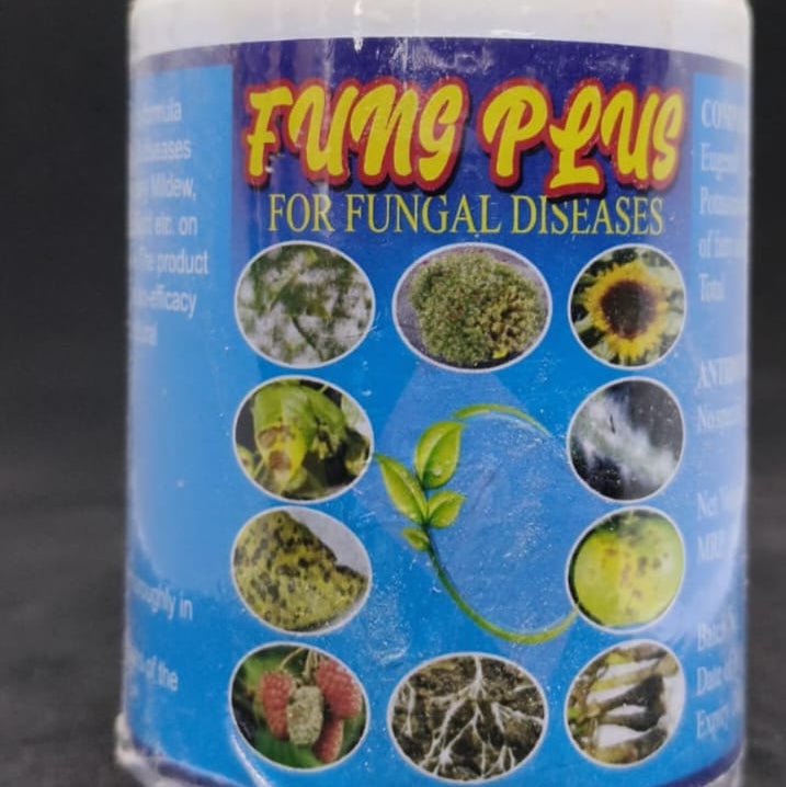Fung Plus