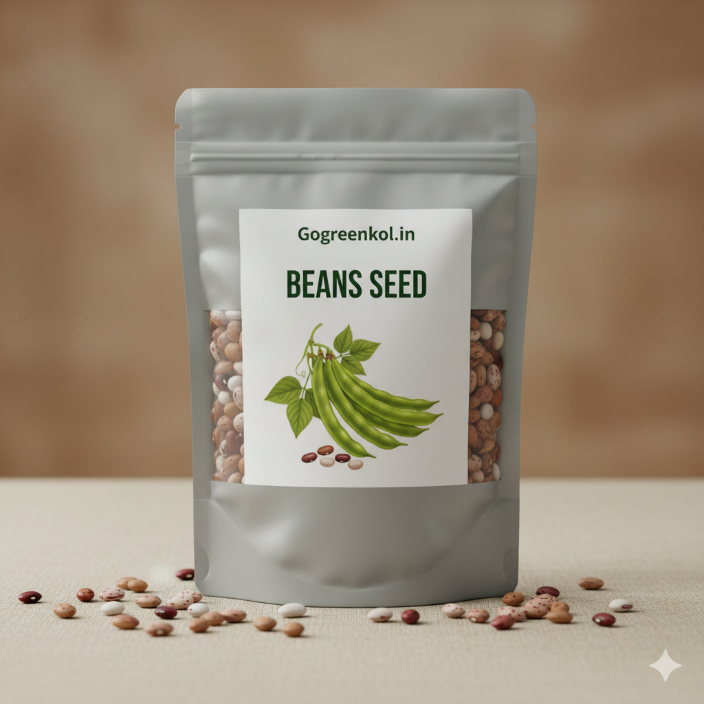Beans (শিম) Seed