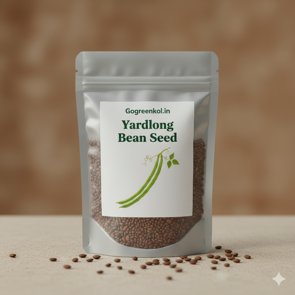 Yardlong Bean (বরবটি) Seed