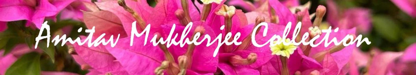 Amitav Mukherjee Collections - GO GREEN