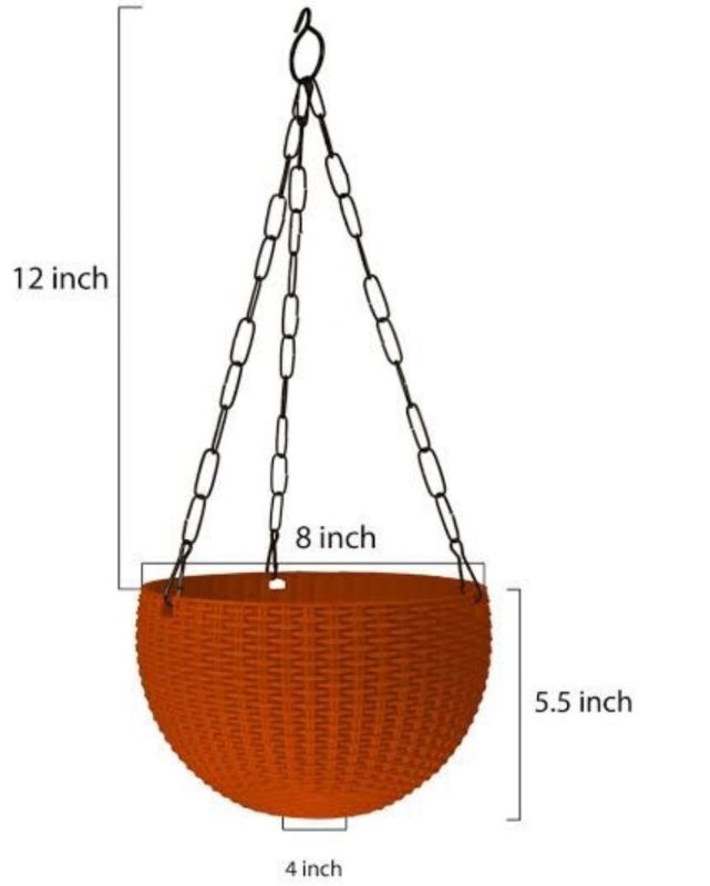 Euro basket 8"