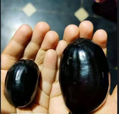 Kg 10 Black Jam alternate view
