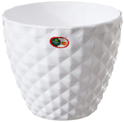 Maxwell Pot 6