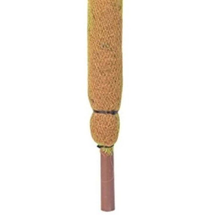 Coir stick 2 feet