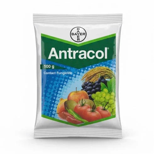 Antracol
