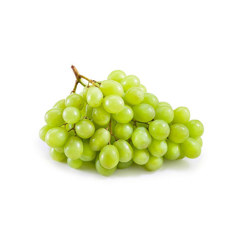 Grapes (Angur) Plant