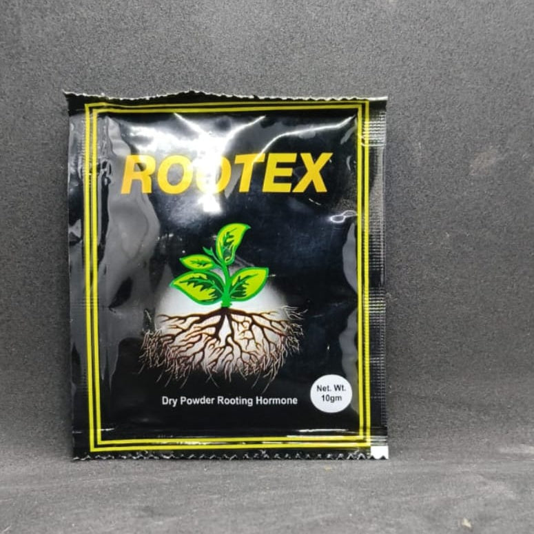 Rootex