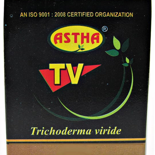 Astha TV 100gm