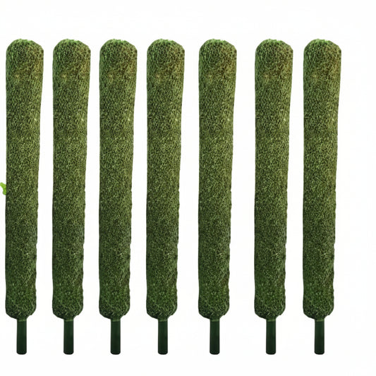 Moss stick 4