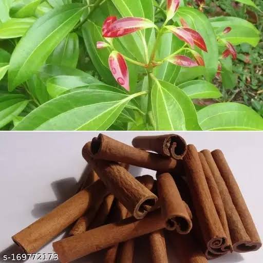 Cinnamon
