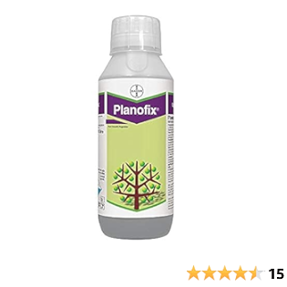 Plannofix