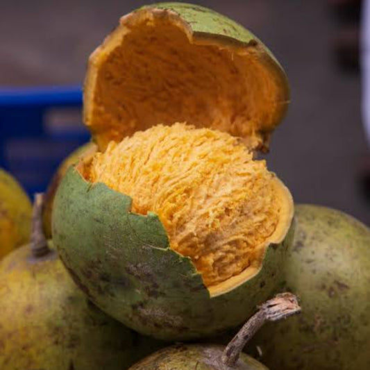 Bael Fruit