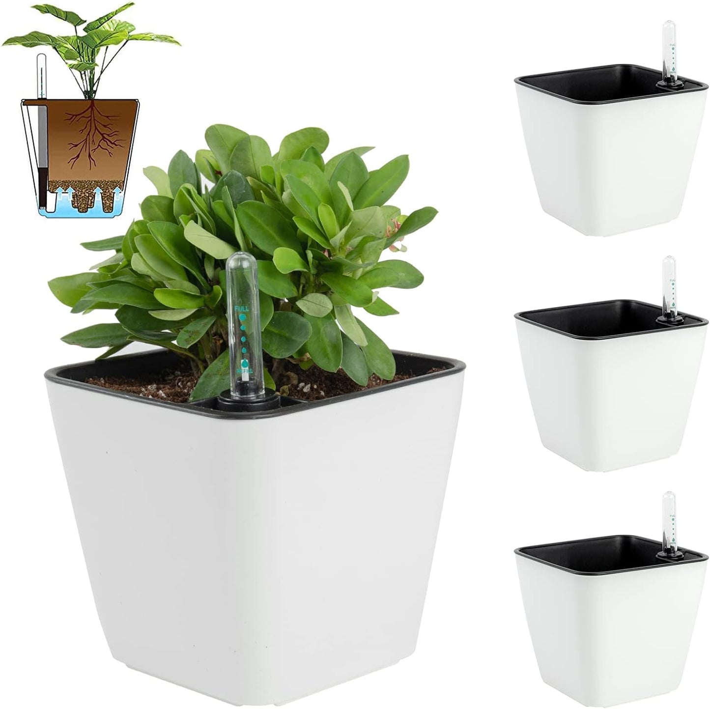Square self watering