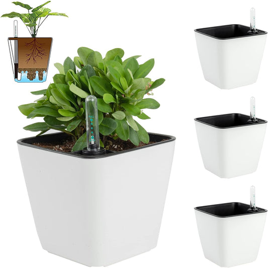 Square self watering