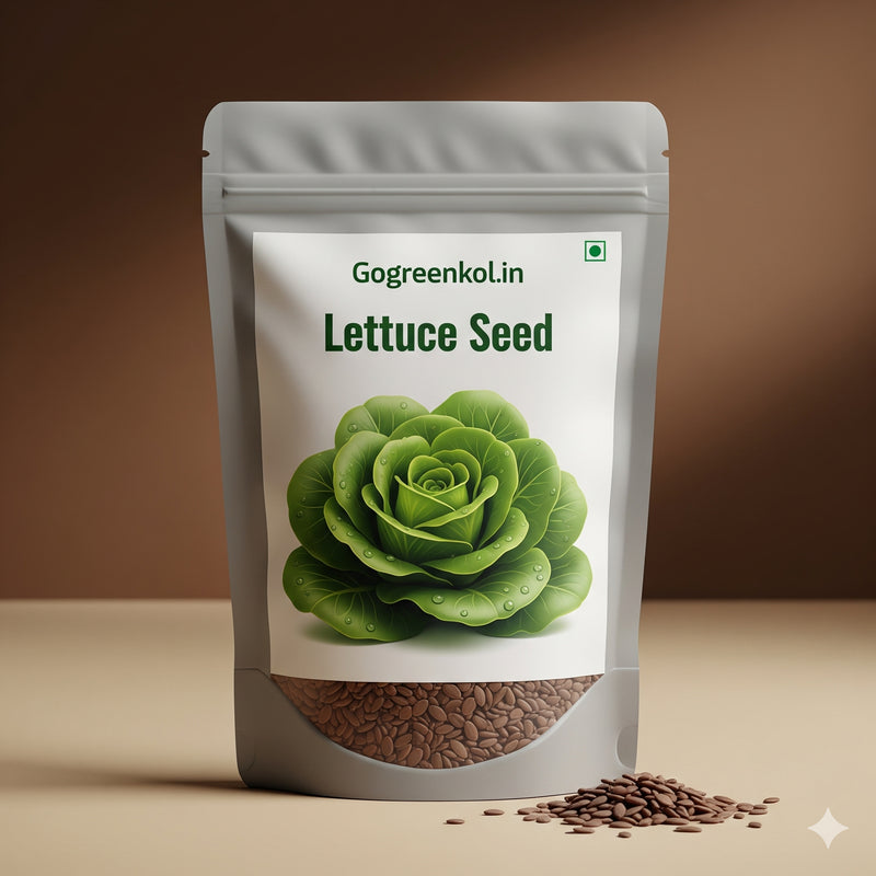 Lettuce (লেটুস) Seed