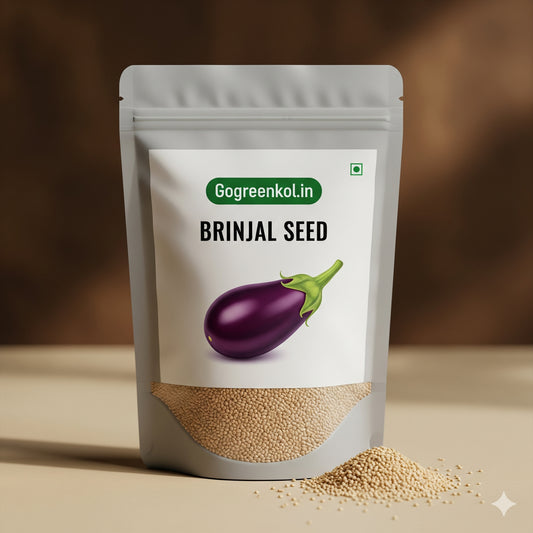 Brinjal (বেগুন) Seed