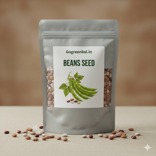 Beans (শিম) Seed