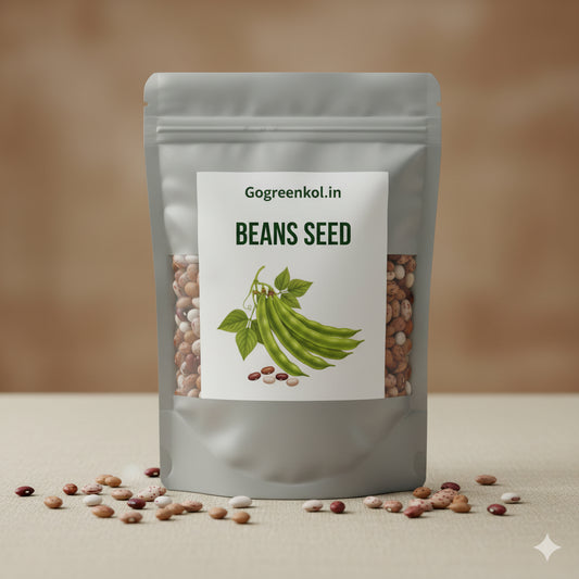Beans (শিম) Seed