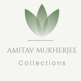 Amitav Mukherjee