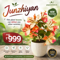 Junzhiyan