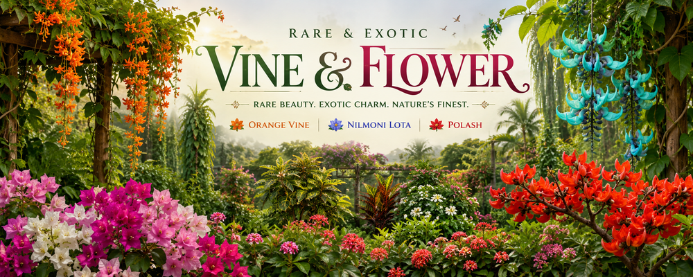 Rare Vines