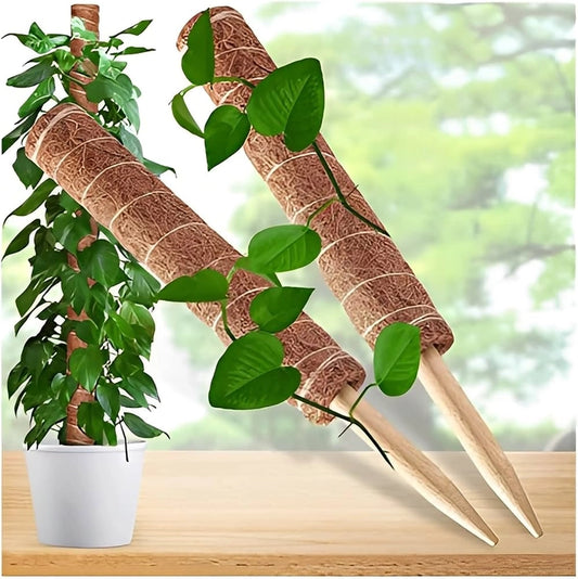 Coir stick