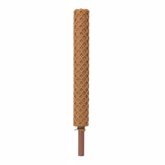 Coir stick 3 feet