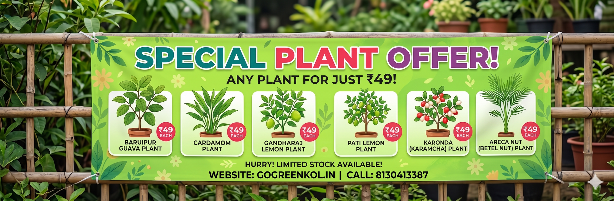 The ₹49 Flash Sale