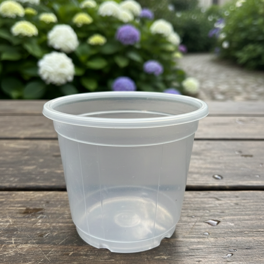 Pearl transparent 5 "