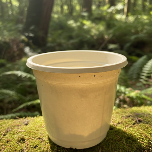 White Nursery Plastic Pot 5"