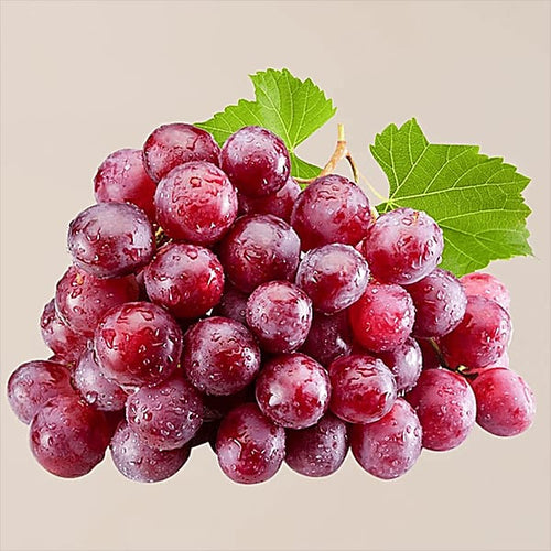Creamson Grape Plant