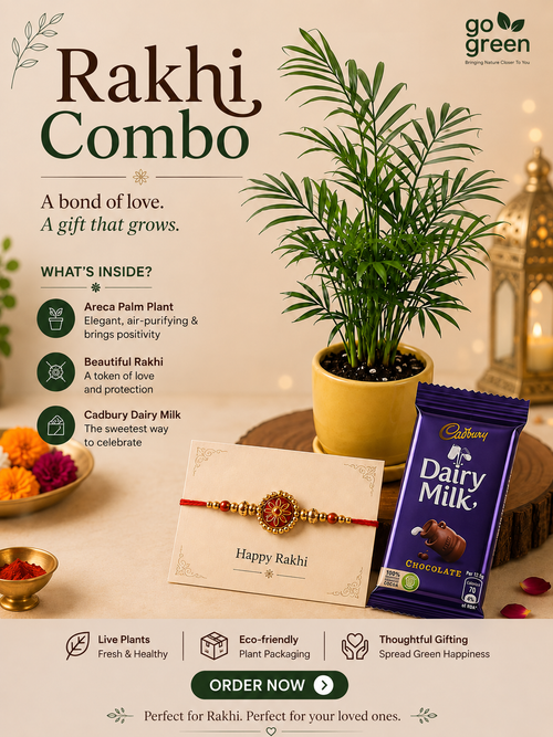 Rakhi Combo 2