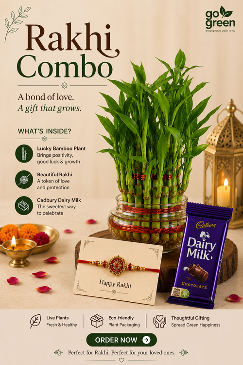 Rakhi Combo 4