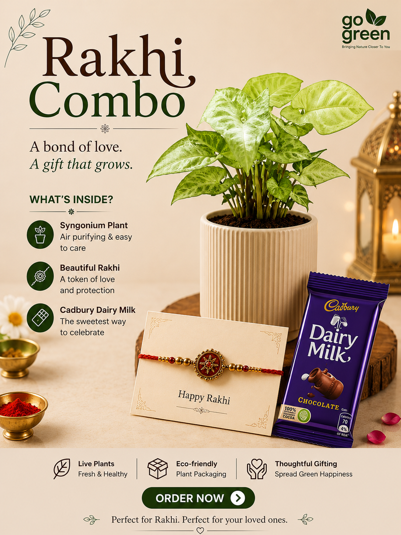 Rakhi Combo 5