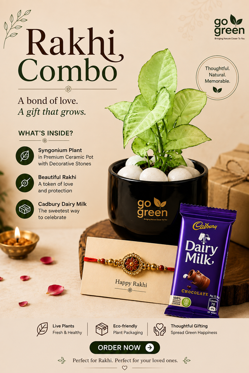 Rakhi Combo 1