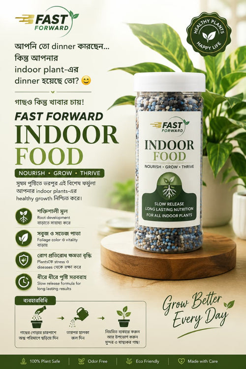 Indoor Food alternate view