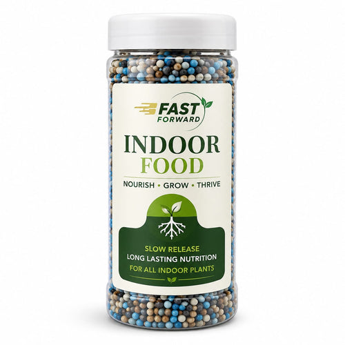 Indoor Food