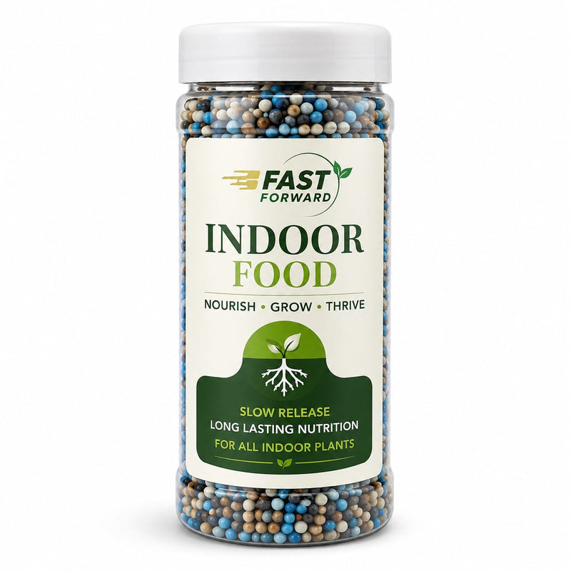 Indoor Food