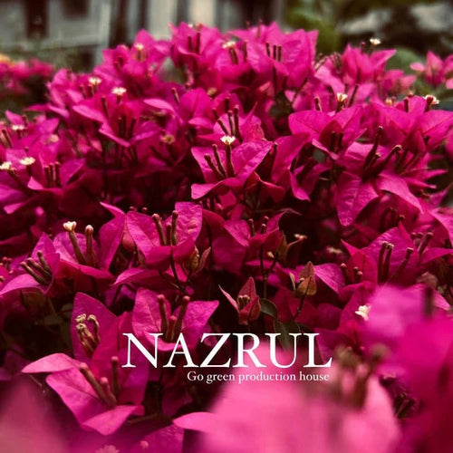 Nazrul