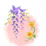 Rare Vines