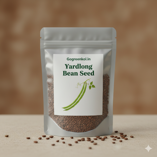 Yardlong Bean (বরবটি) Seed