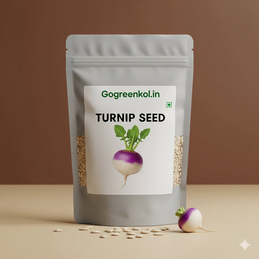 Turnip (শালগম) Seed