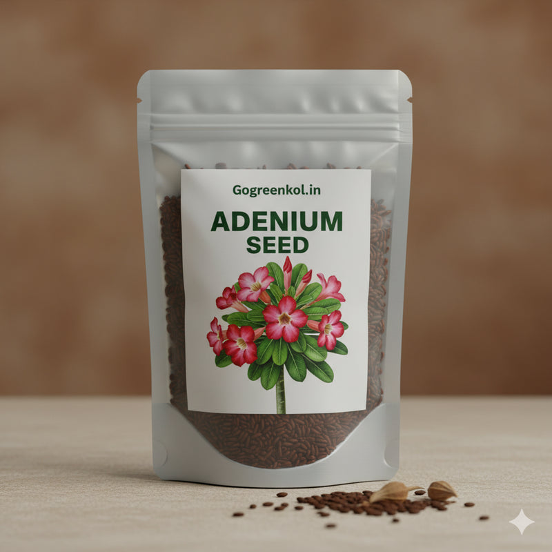 Adenium Seed
