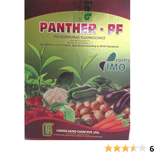 Panther TV 100GM