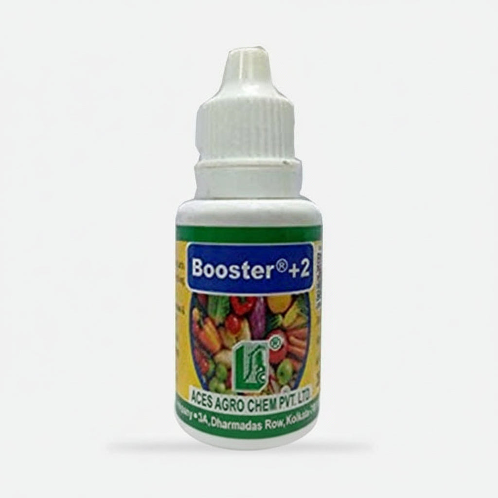 Booster 2
