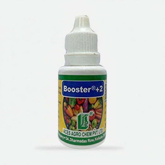 Booster 2