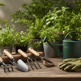 Garden Tools